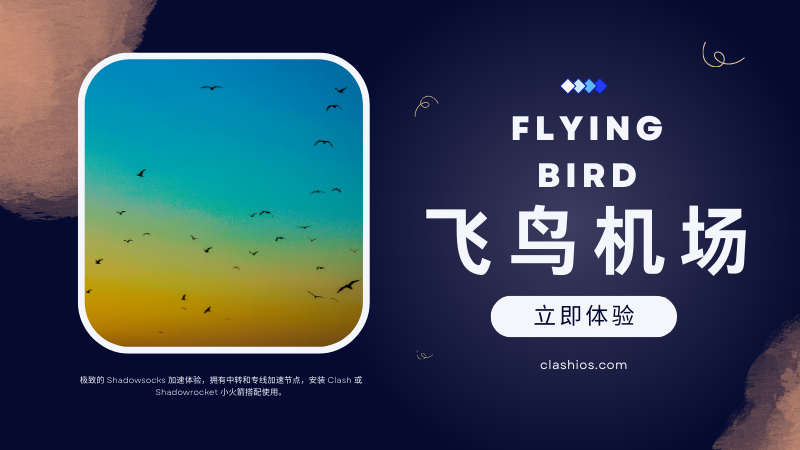 飞鸟机场官网 飞鸟机场官网
